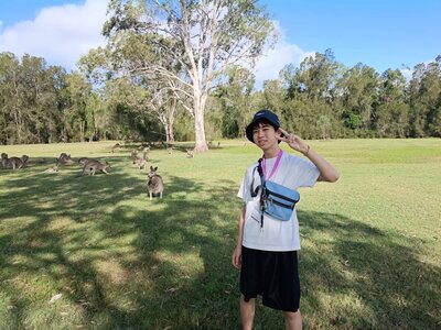 Image - 2026-03-01T144307.875.jpg