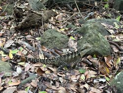 Image - 2026-03-03T111717.783.jpg