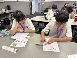 Image - 2026-03-03T111747.788.jpg