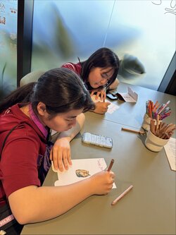 Image - 2026-03-05T172837.247.jpg